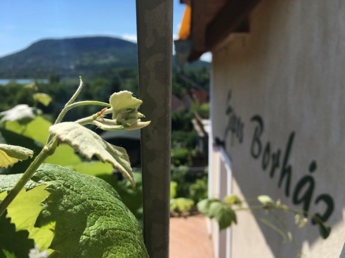 Sipos Borhaz Es Vendeghaz Hotel Badacsonyörs Exterior foto